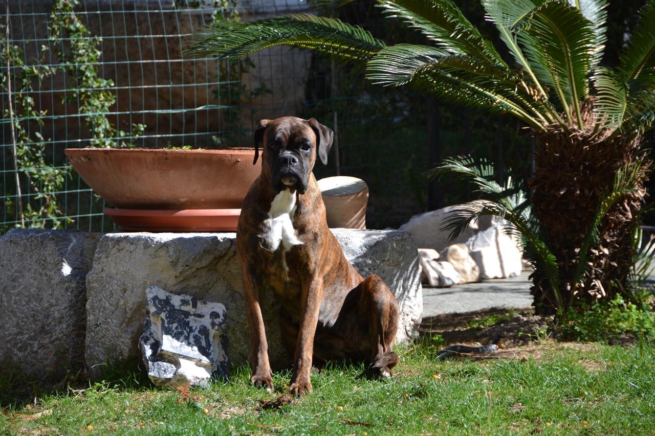 Casa Nina Bed & Breakfast Toirano Bagian luar foto