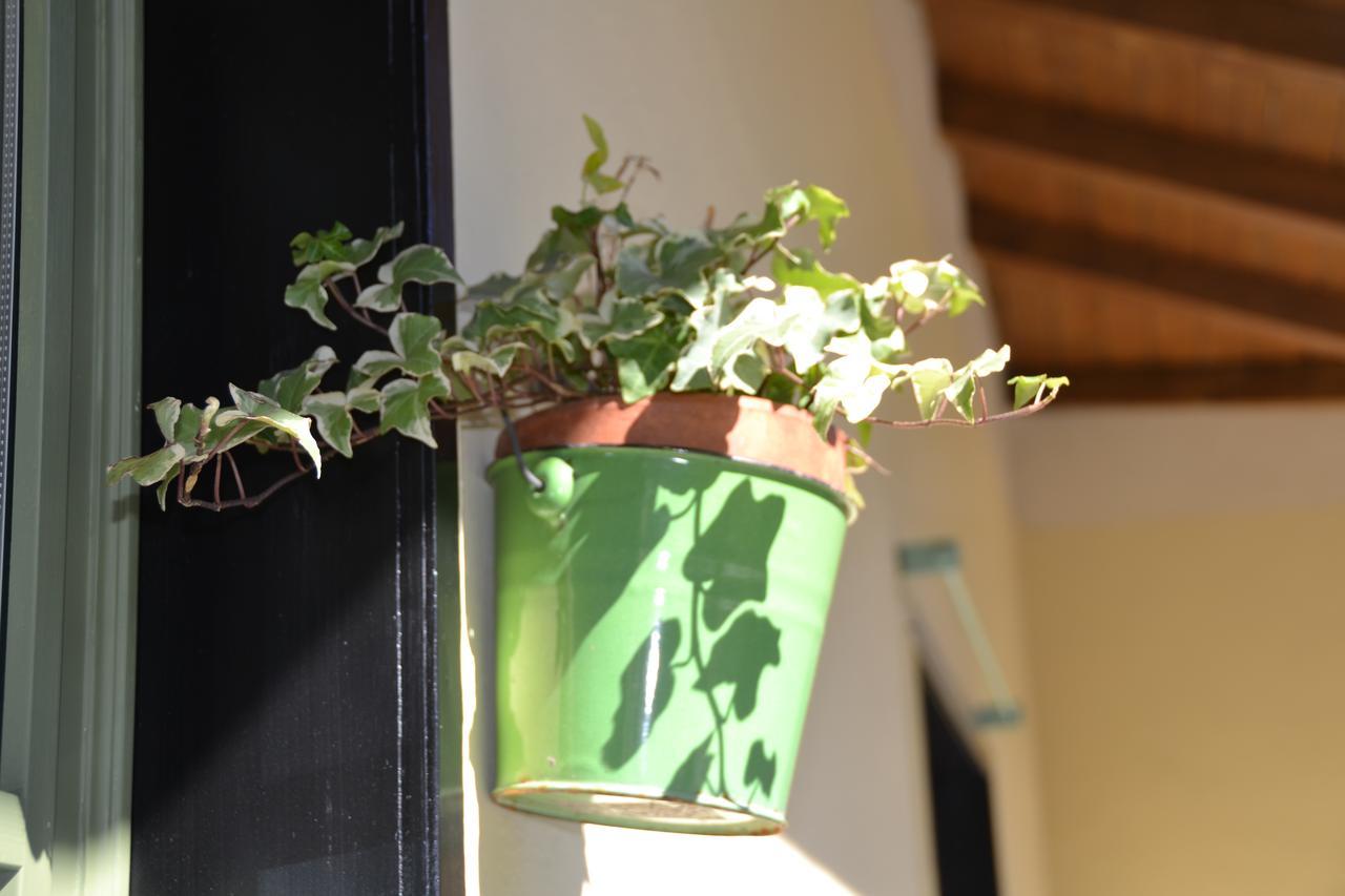 Casa Nina Bed & Breakfast Toirano Bagian luar foto