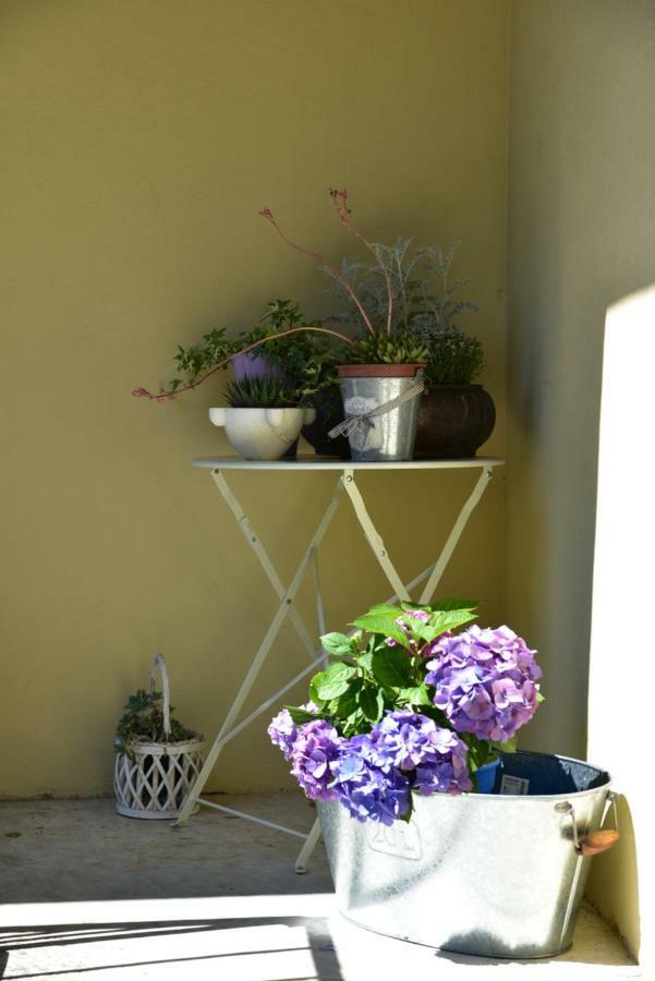 Casa Nina Bed & Breakfast Toirano Bagian luar foto
